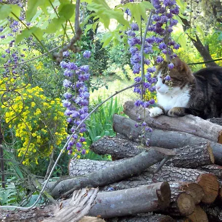 La Joliette 3* Junas