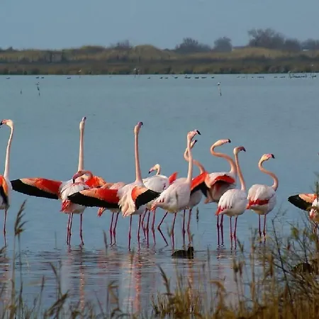 Konukevi La Joliette