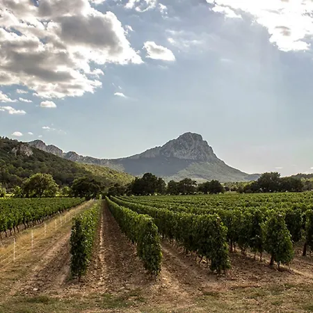 La Joliette Gasthuis 3*