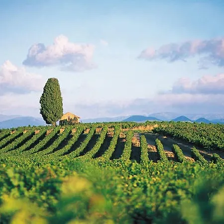 Gasthuis La Joliette