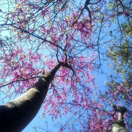 ゲストハウス La Joliette Junas